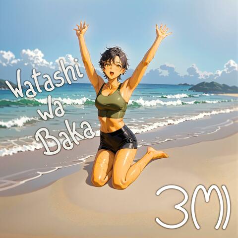 Watashi wa Baka album art