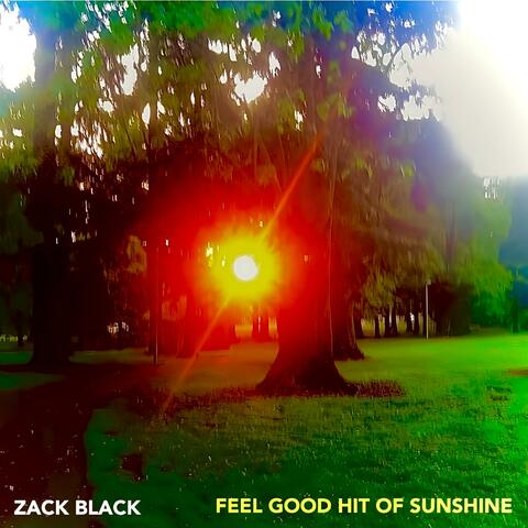 Feel Good Hit of Sunshine album art
