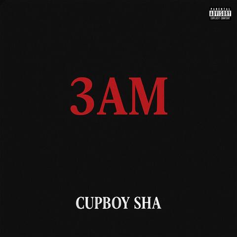 3AM album art