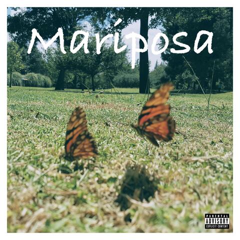 Mariposa album art