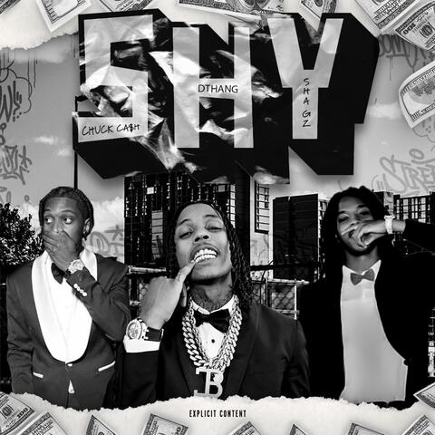SHY (feat. DTHANG RACKS & SHA GZZ) [REMIX] album art