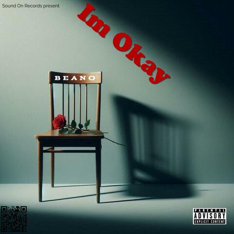 Im Okay album art