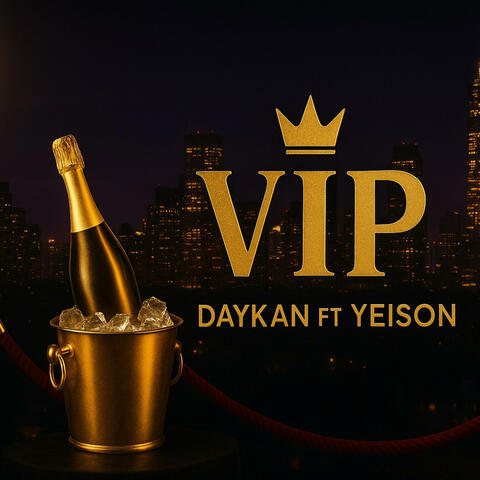 VIP album art