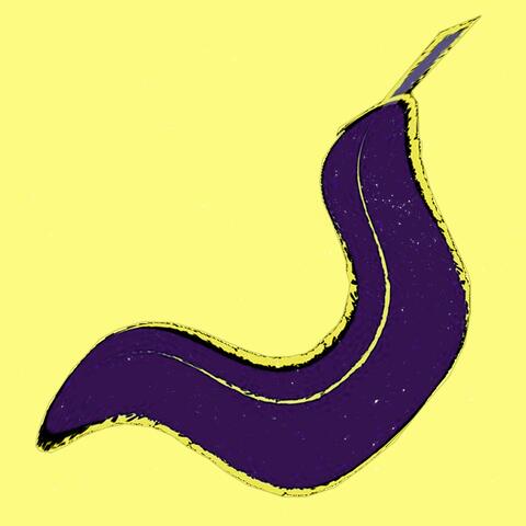 Banana In Space album art