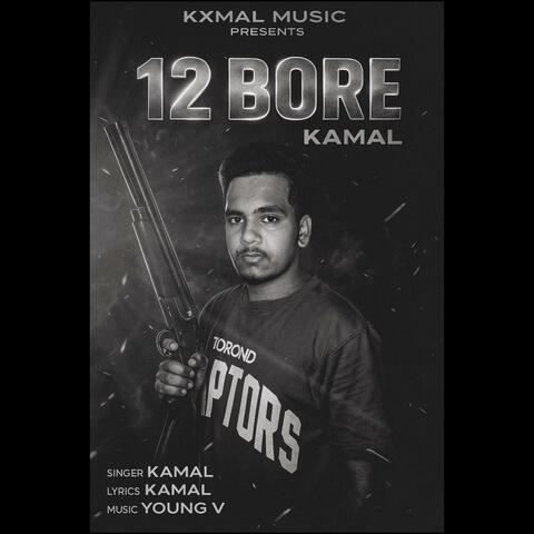 12 BORE album art