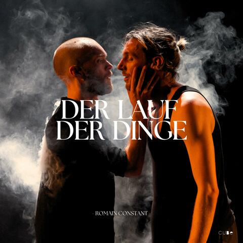 DER LAUF DE DINGE album art