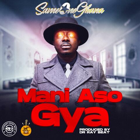 Mani Aso Gya album art