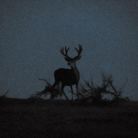 d3ath (deluxe) album art