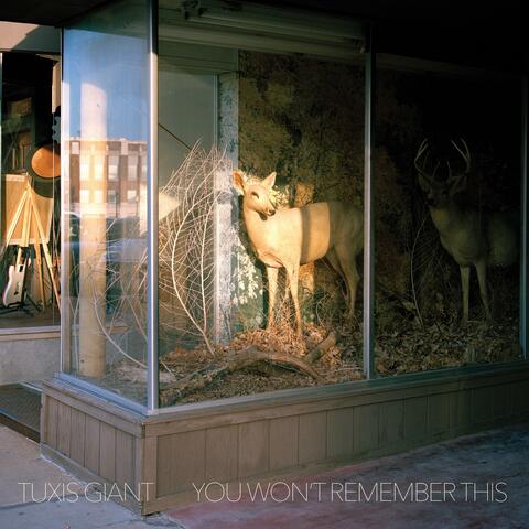 Days album art