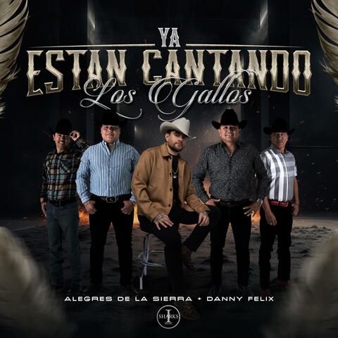 Ya Estan Cantando los Gallos album art