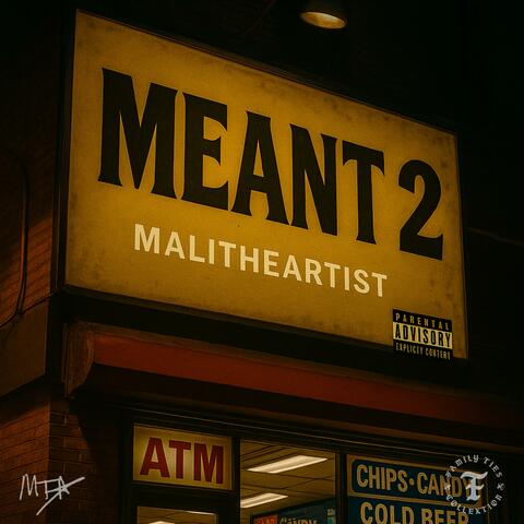 MEANT 2 album art