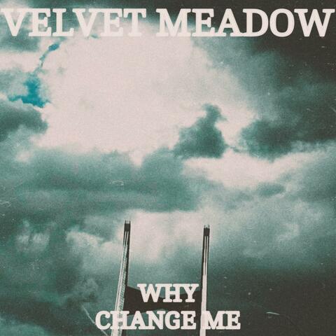 Why Change Me album art