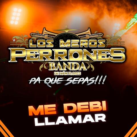 Me Debi Llamar album art