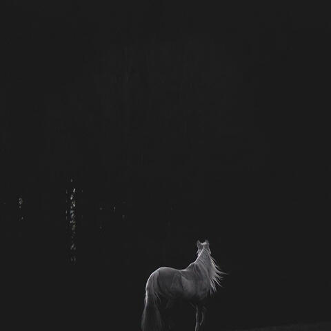 Double Dark Horse album art