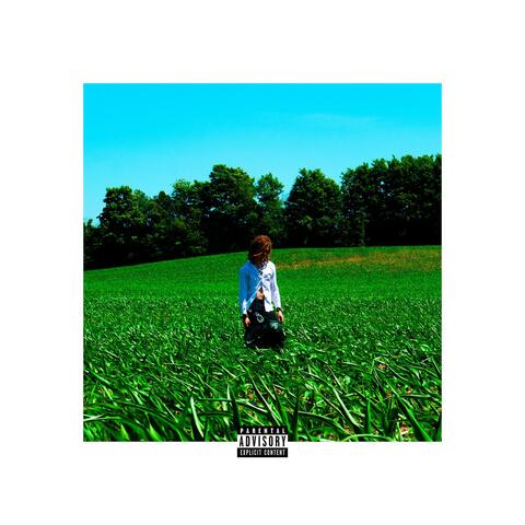 I Would album art