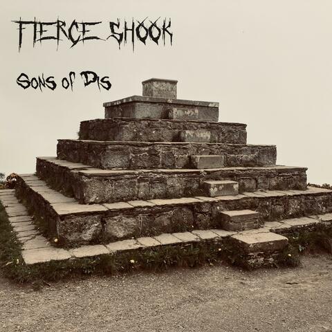 Sons of Dis album art