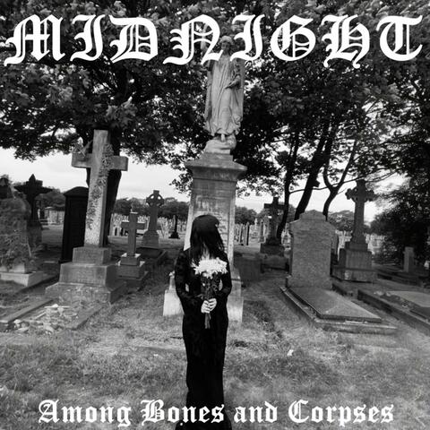 Among Bones and Corpses album art