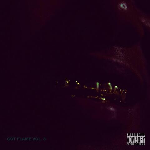 Got Flame, Vol. 3 album art