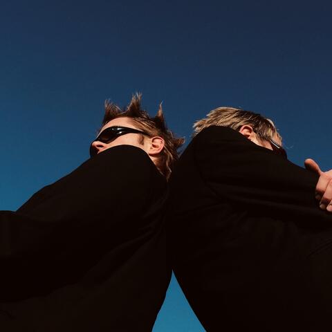 FLIEGENFÄNGER album art