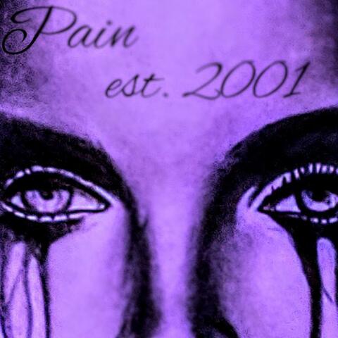 Pain est. 2001 album art
