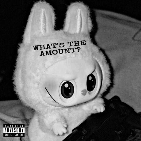 WHAT'S THE AMOUNT? album art