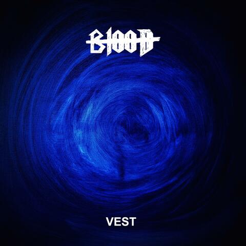 VEST album art