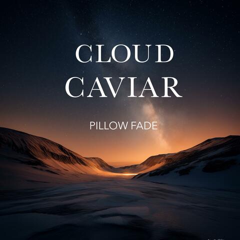 Pillow Fade album art