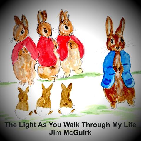 The Light As You Walk Through My Life (Instrumental) album art
