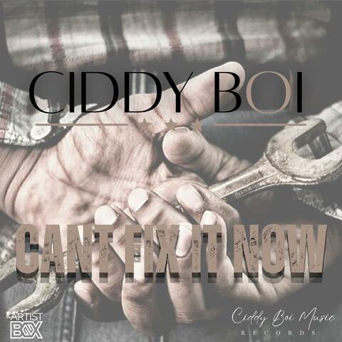 Cant Fix It Now album art