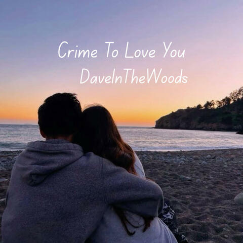 Crime To Love You album art