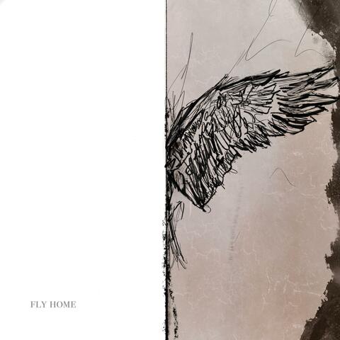 Fly Home album art