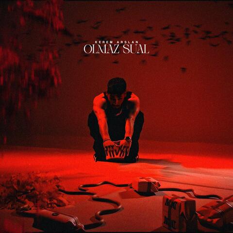 Olmaz Sual album art