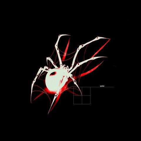 Spider album art
