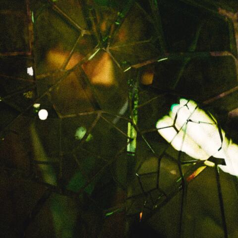 FLAWED album art