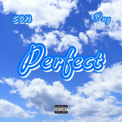 Perfect (feat. Ony) album art