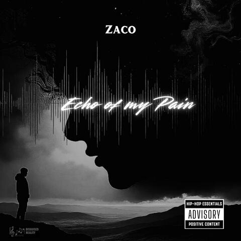 Echo of my Pain album art