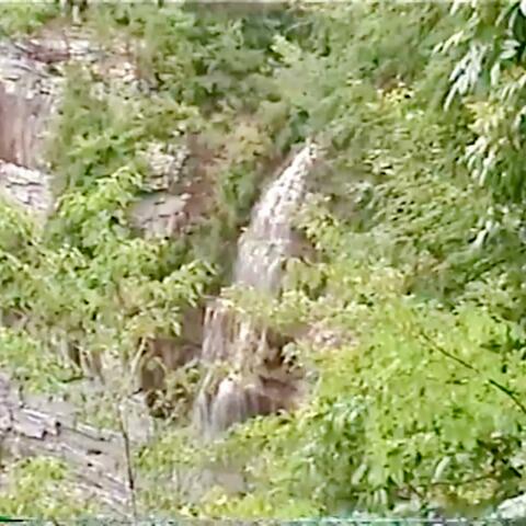JULY 31, 2003 :: team daum at fall creek falls album art