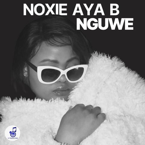 Nguwe album art