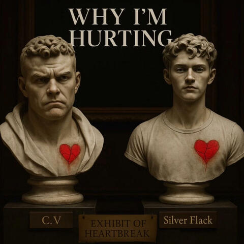 Why I'm Hurting (feat. Silver Flack) album art