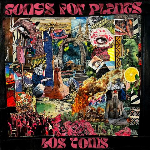 Lick the Toad album art