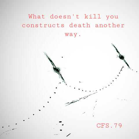 What doesn't kill you constructs death another way. album art