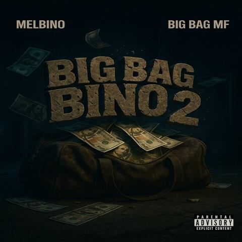 Big Bag Bino 2 album art