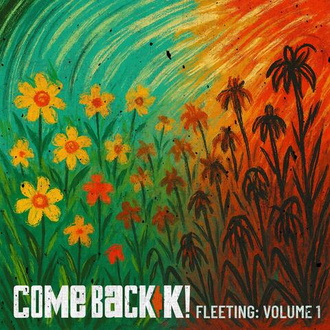 Fleeting: Volume 1 album art