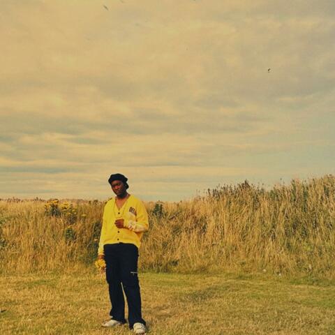 I chose love album art