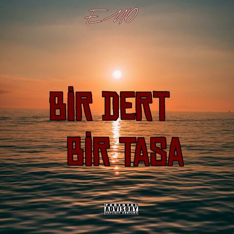 Bir Dert Bir Tasa album art