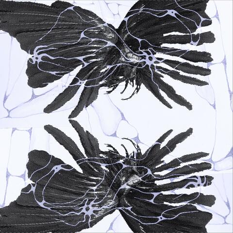 serenity album art