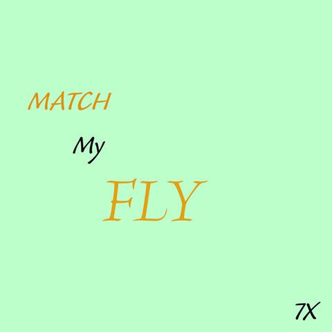 Match My Fly album art