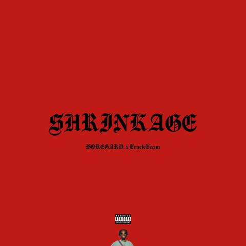 SHRINKAGE album art