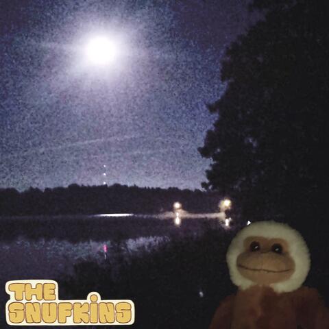 December Days album art