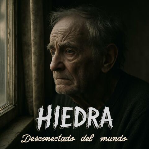 Desconectado del mundo album art